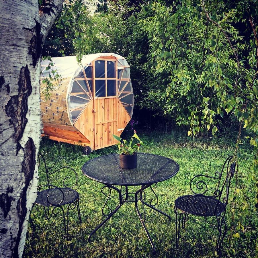 Les Cabanes Du Vigne Molandier Eksteriør billede